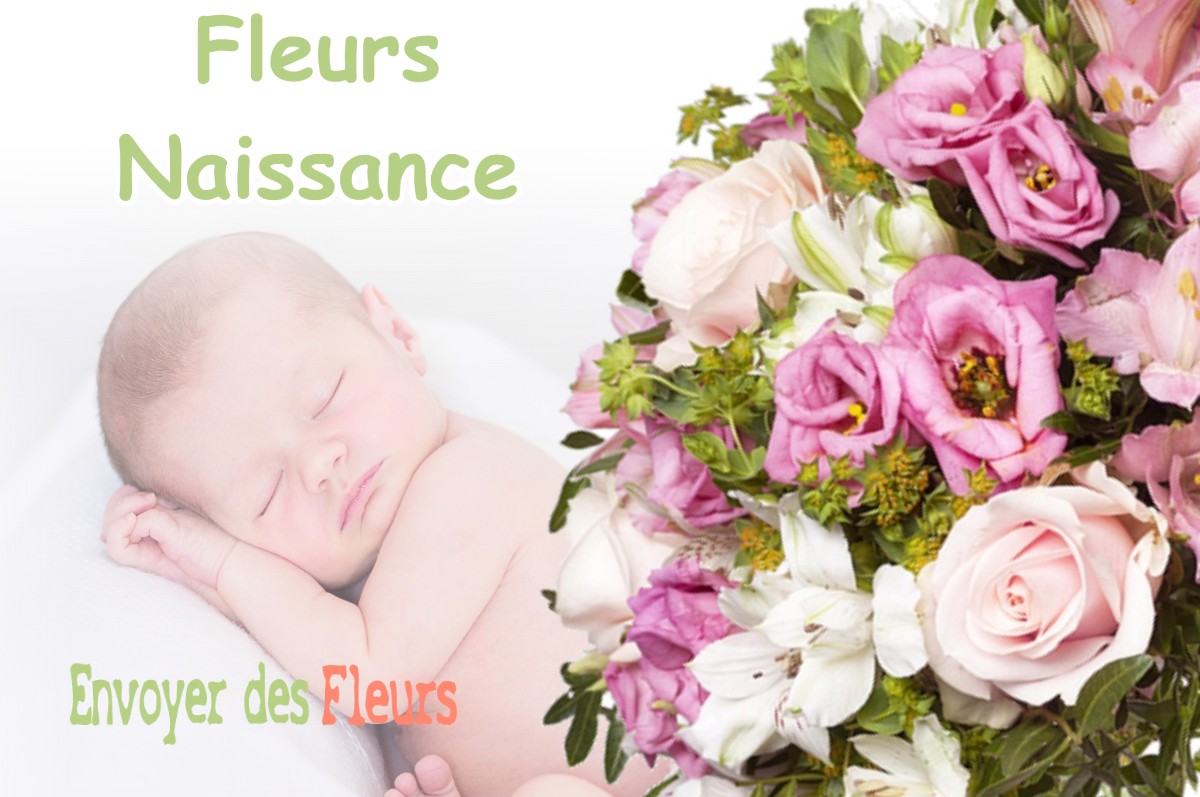 lIVRAISON FLEURS NAISSANCE à SERE-EN-LAVEDAN